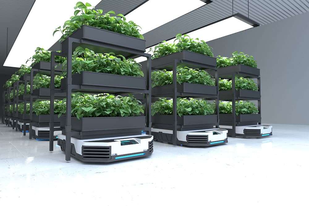 naves agrícolas desmontables